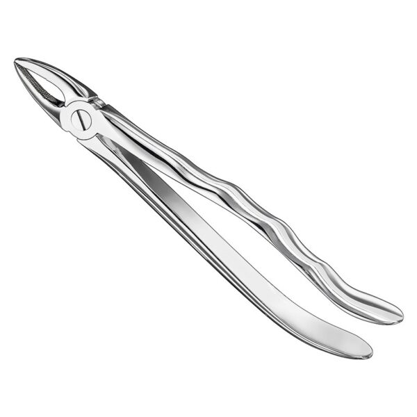 Extracting Forceps, Anat