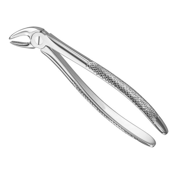 Extr.fcps., Engl.Patt